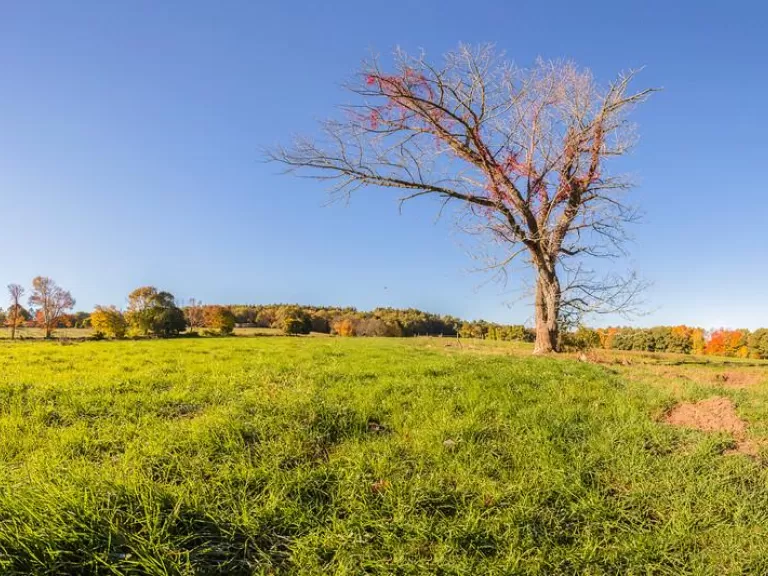 Mainstone Farm in Wayland is one of the many properties that have been conserved with the help of CPA funds. Photo by Raj Das.