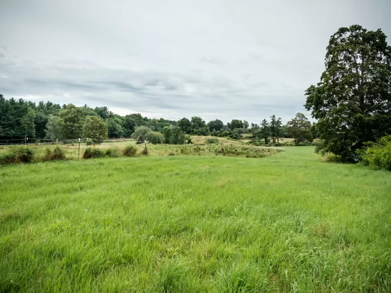 Photo by Brent Mathison