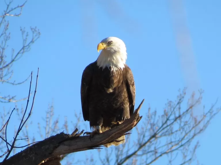 Photo by William Dunbar.