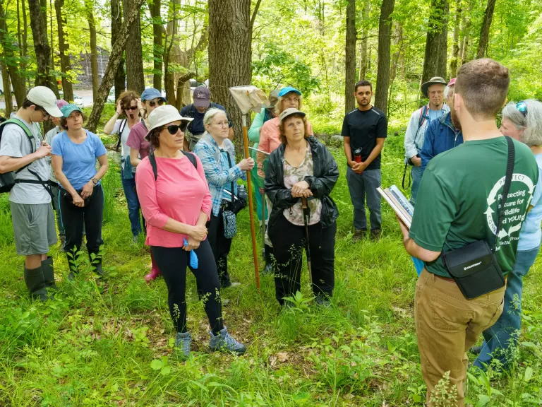 Photo by Dany Pelletier