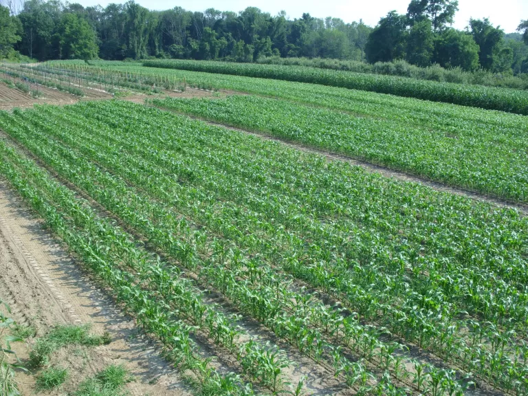 Thistle Dew Farm, Holliston. Photo by Adrian Collins and Kevin Drake