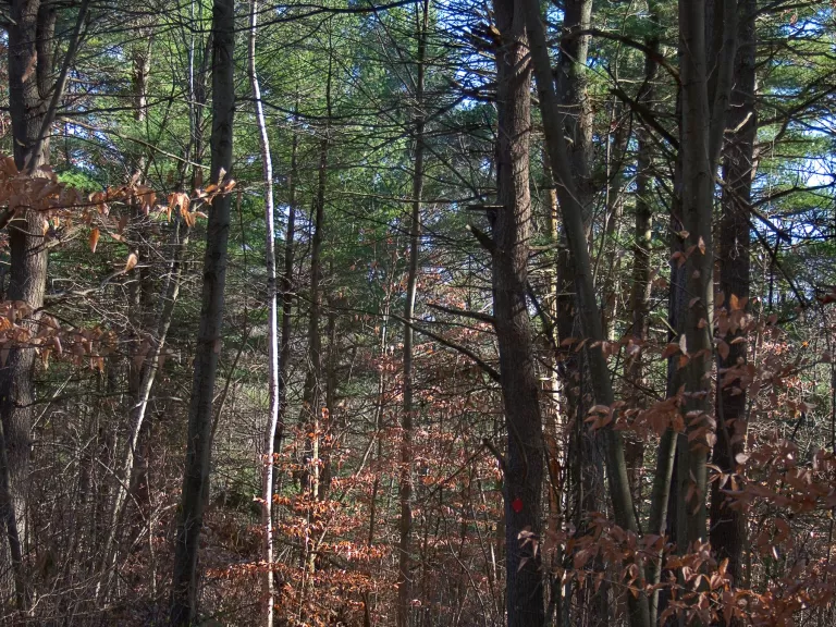 Photos by Steve Gaebeler