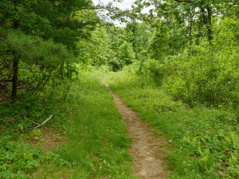 O'Donnell Property. Photo by Dany Pelletier
