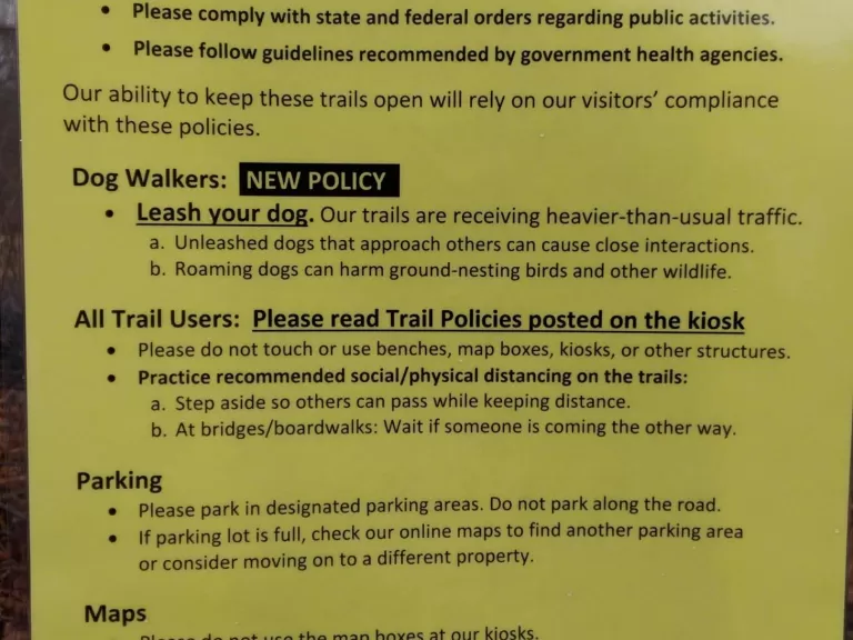 Photo by Mark Levinson