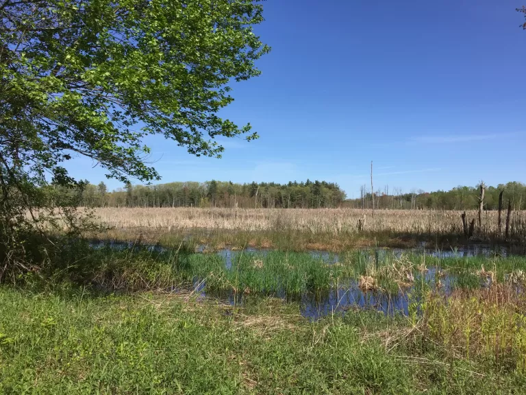 View from the Smith Property. Photo by Paul Bakstran