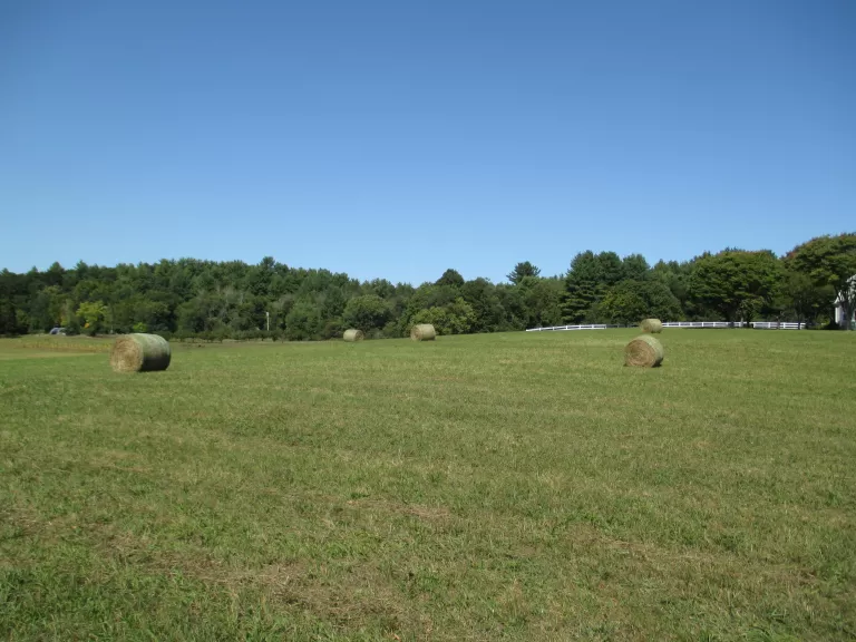 In April 2021, Jeffrey and Gretchen Stoddard of Berlin placed a conservation restriction on their beautiful property in northern Berlin